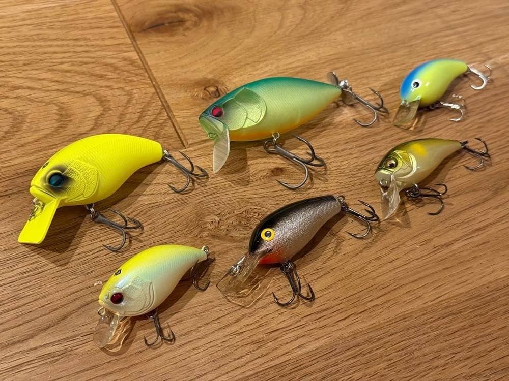 Raid Japan Crankbait Set of 6, Mostly Unused, Hard Lures for Fishing