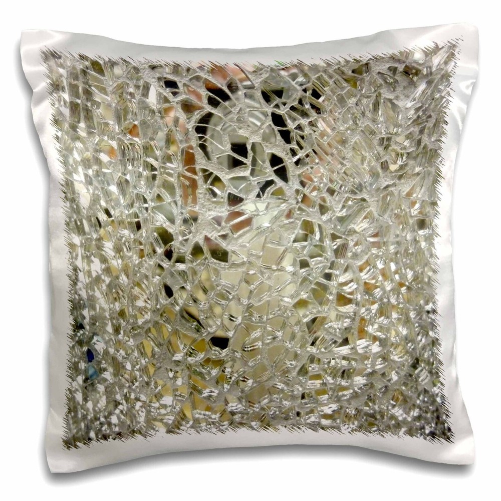 3dRose Image of Mirror Glass Closeup 16x16 inch Pillow Case