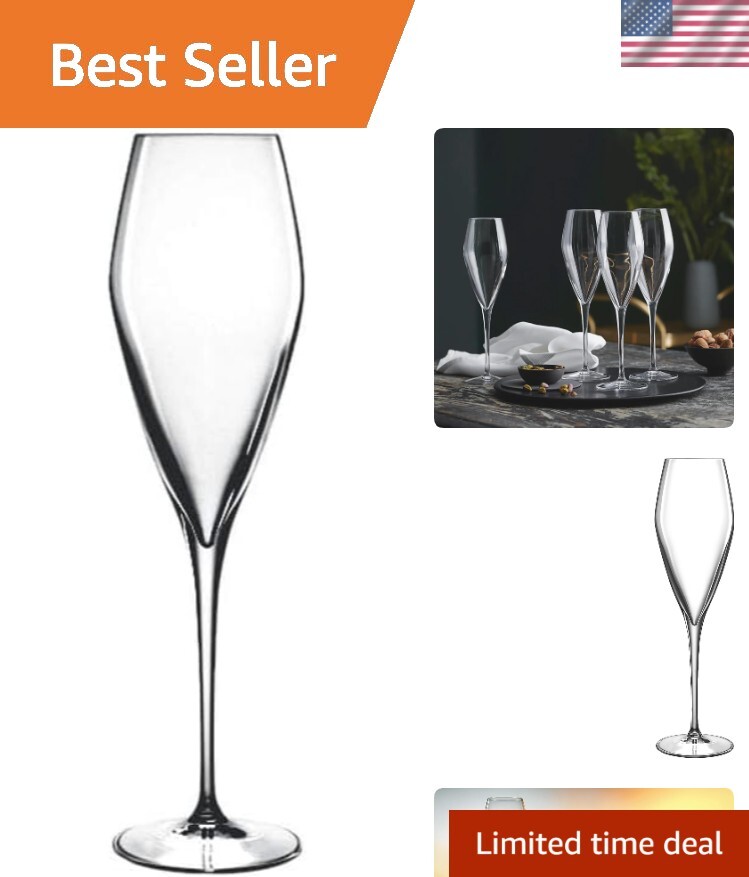 Atelier 9.25 oz Clear Champagne Glass Set of 6