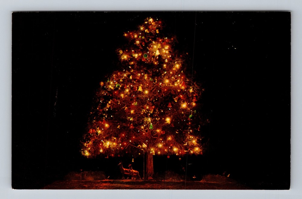 Santa Claus Land IN-Indiana, Christmas Tree, Vintage Postcard