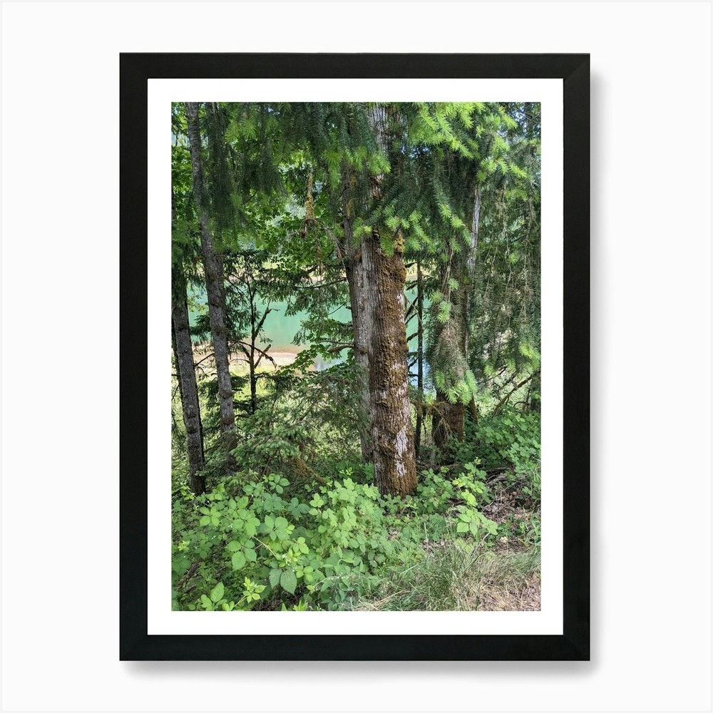 Beyond the Tree's   Art Print Framed Wall Art Poster Canvas Print Picture