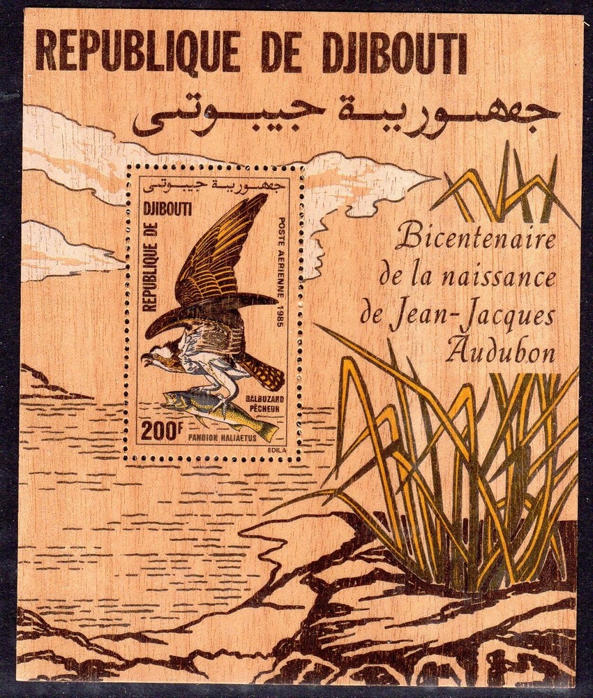 Birds - Djibouti 1985 Audubon min. sheet fine fresh MNH