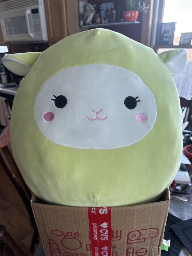 Squishmallow Addison Green Lamb 16