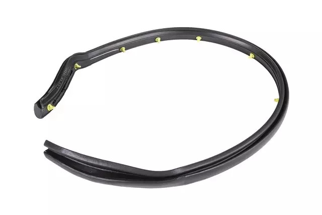 Genuine Rear Driver Side Door Below Belt Auxiliary Weatherstrip 26679892