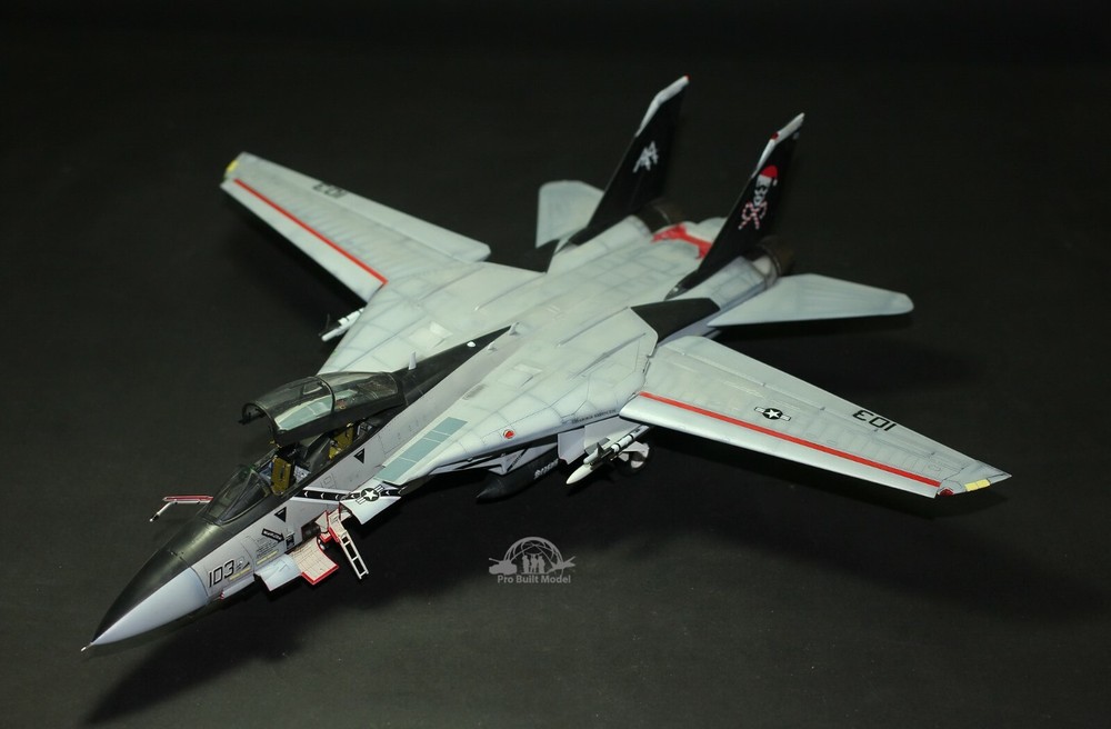 PreSale US Navy F-14B Tomcat 1:48 Pro Built Model-image