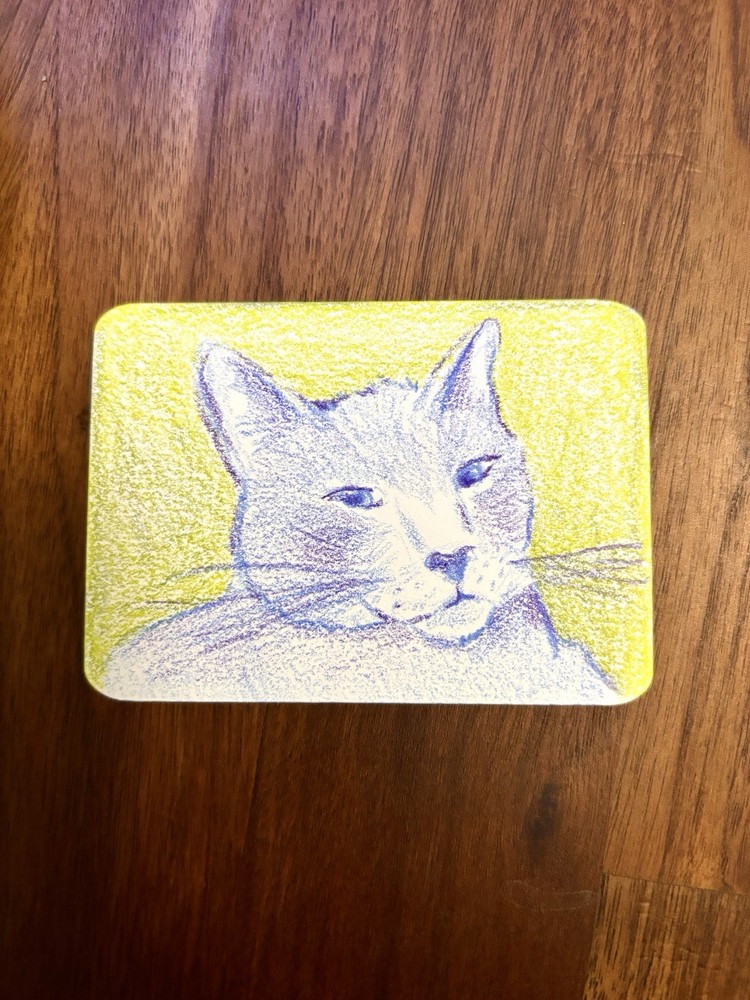 Colorful Cat ACEO Art Card Handmade Signed Original Drawing