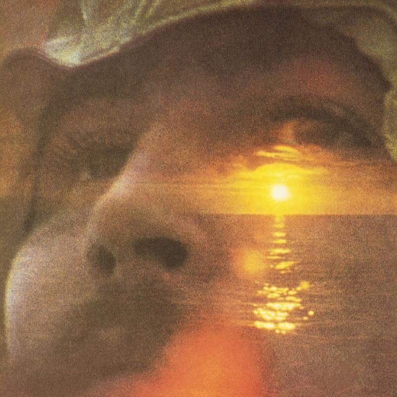 Crosby Stills Nash & Young If I Could Only Remember My Name (Vinyl)