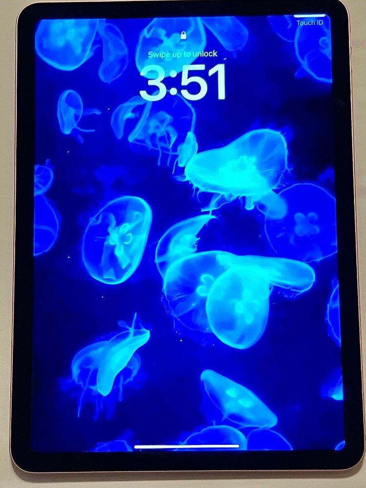 Apple iPad Air 4th Gen iOS18, Rose Gold, 256 GB, Wi-Fi Only, Excellent Condition