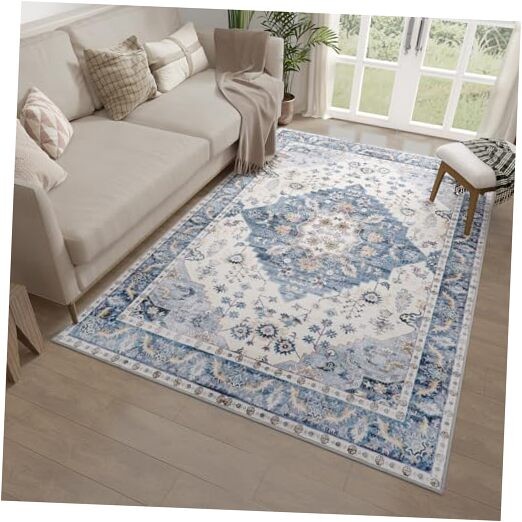 3x5 Non-Slip Washable Area Rug - Indoor Entryway Throw Mat for Living Room Bedroom Kitchen