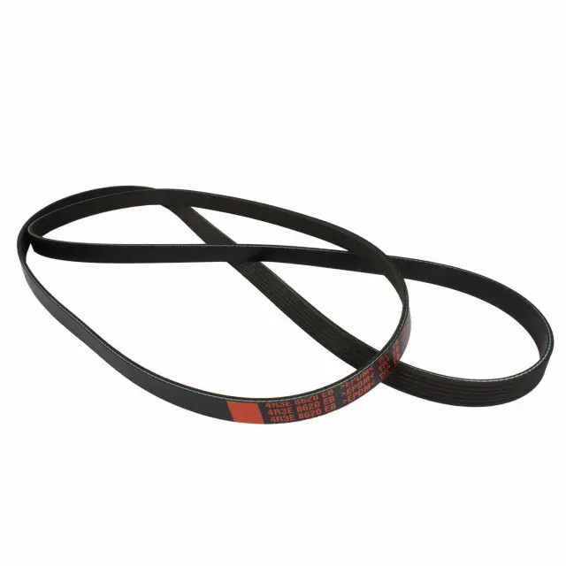 Motorcraft JK6-1022-EB Serpentine Belt for 05-06 Ford Mustang 4.6L V8