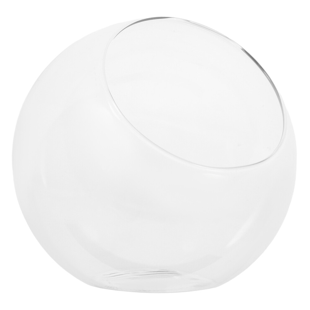 Mini Glass Planter for Desktop Plants – Clear Micro Landscape Vase