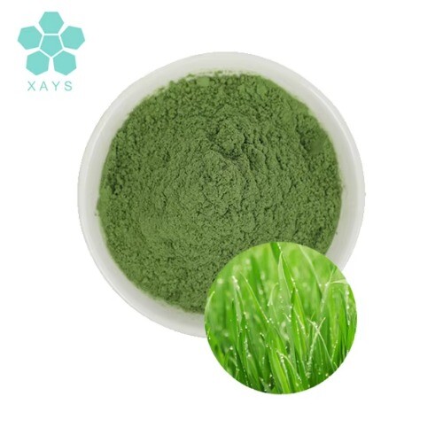 100% Pure Superfood Green Barley Grass Juice Powder Extract for Wellness