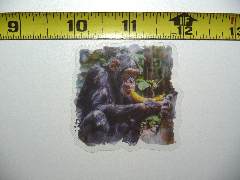 Colorful Cute Chimpanzee Eating Banana Wildlife Zoo Sticker Decal