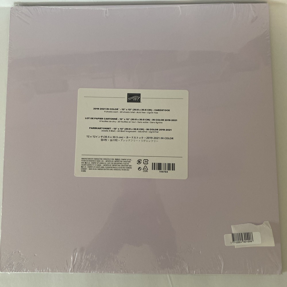 Stampin Up 2019-2021 IN COLOR 12X12 CARDSTOCK Paper Crafts 12 X 12 Cards DENTED