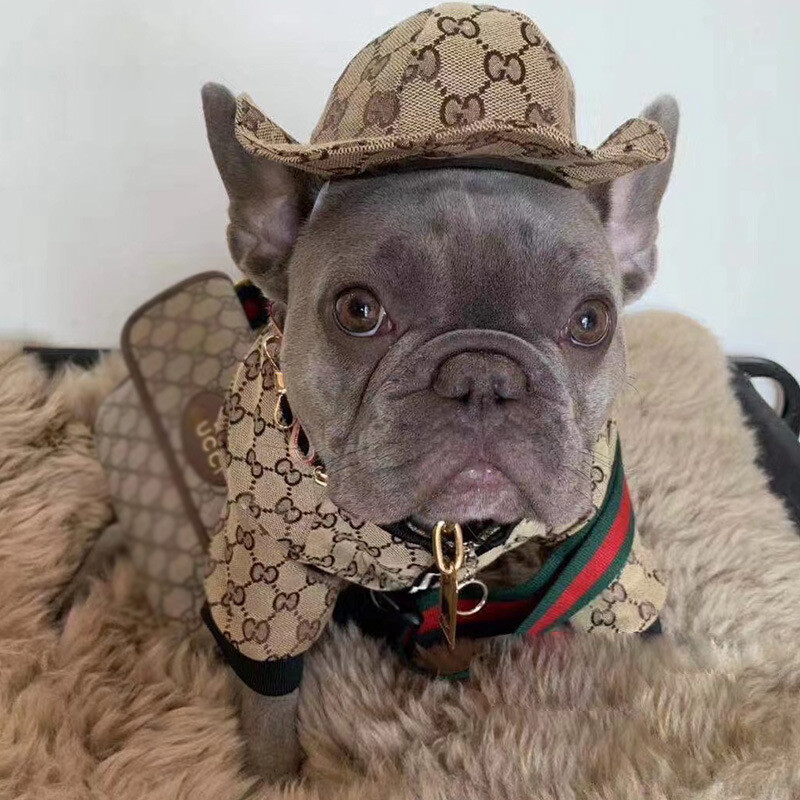 High Quality Pet Clothes Luxury Fashion Hoodie Sweater Shirt Dog Apparel