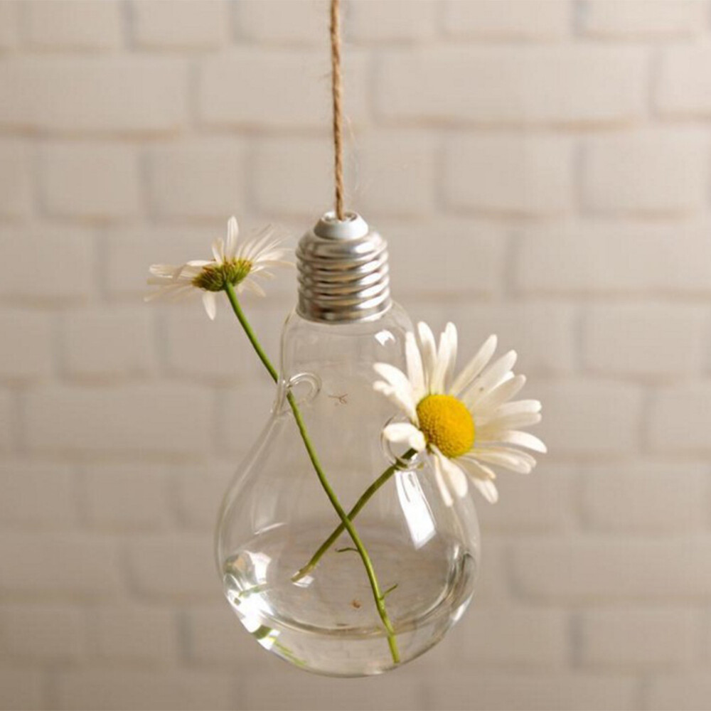 Hanging Glass Light Bulb Vase Planter for Indoor Garden Decor