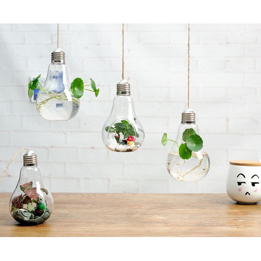 Mini glass bulb terrarium planter for miniature gardens