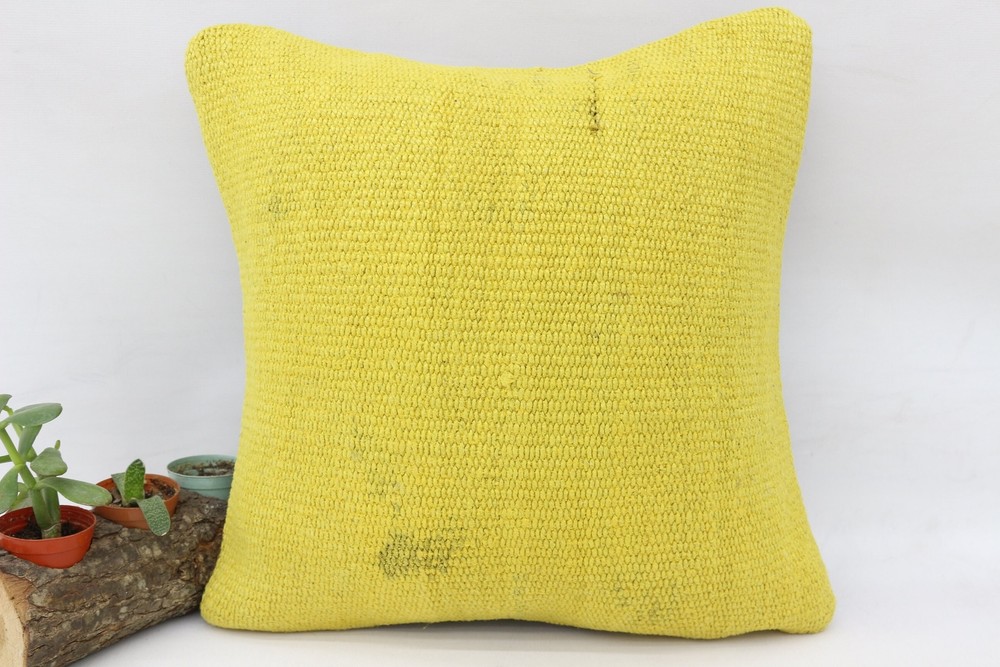 Throw Pillow, 16