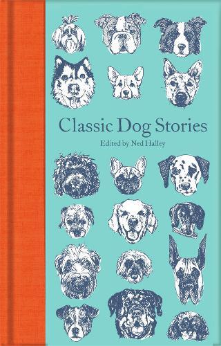 Ned Halley Classic Dog Stories (Hardback) Macmillan Collector's Library