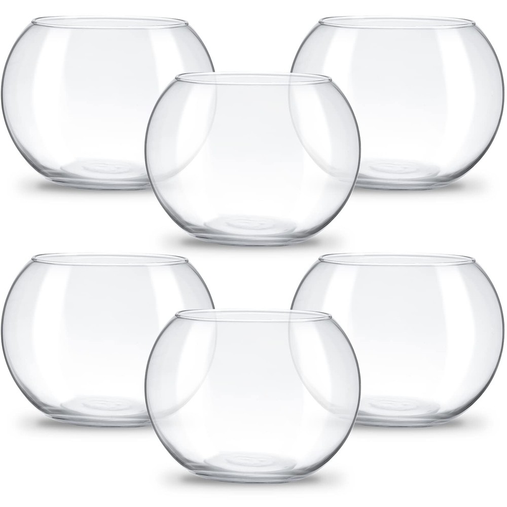 Clear Bubble Glass Round Vase Planter Terrarium Bowl