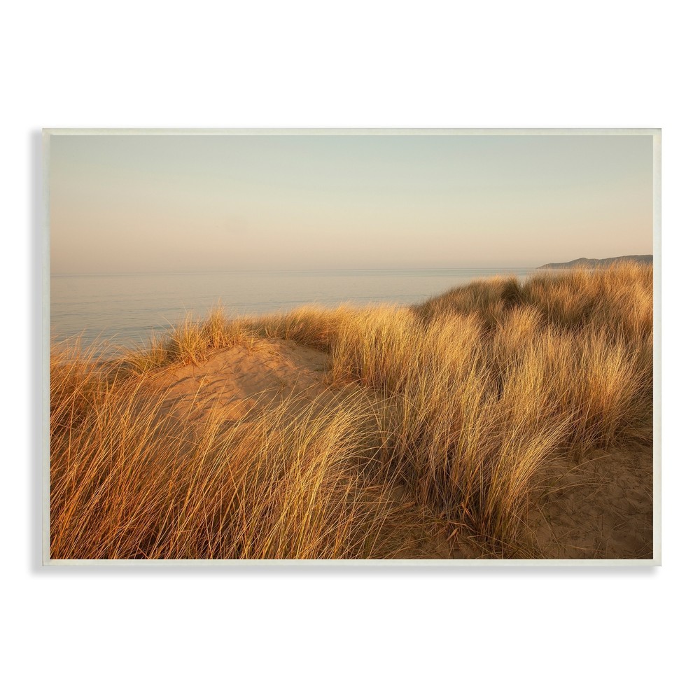 Stupell Ocean Cliff Sunset Sun Bleached Grass Seaside Yellow 15 x 10
