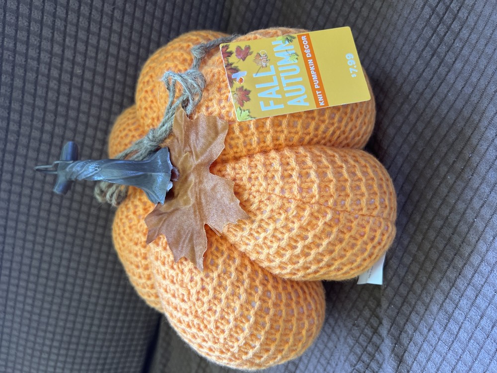 Fall into Autumn Knit Pumpkin Decor