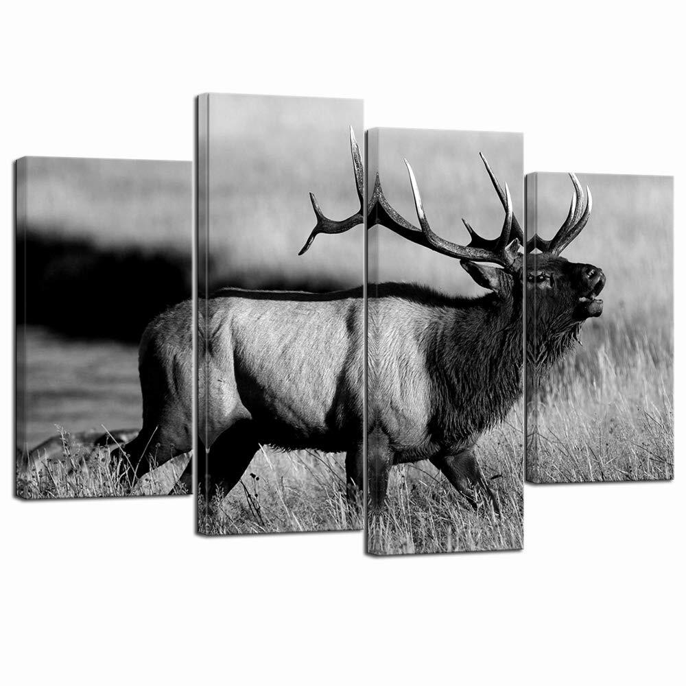 - 4 Piece Animal Picture Black and White Bull Elk Canvas Wall Art Painting fo...