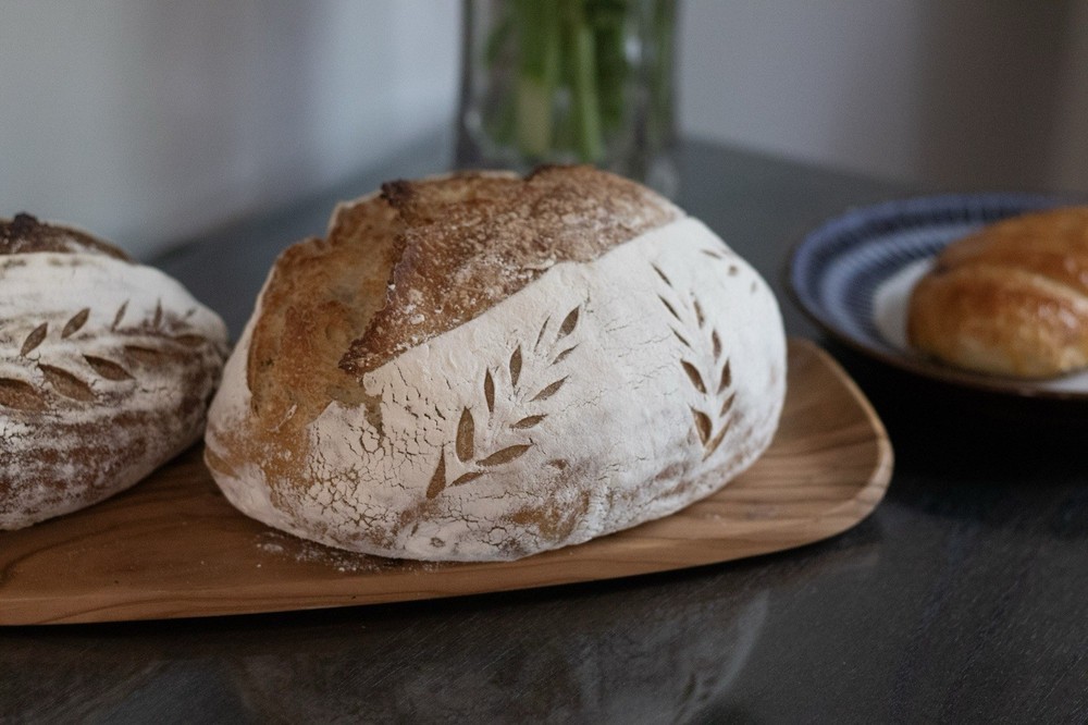 200-Year-Old Savannah Organic White Wheat Sourdough Starter