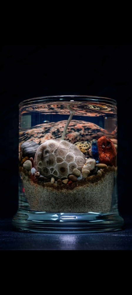 Michigan Beach Candle Gel Wax