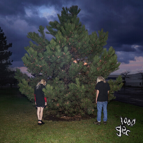100 gecs - 1000 Gecs [New Vinyl LP]