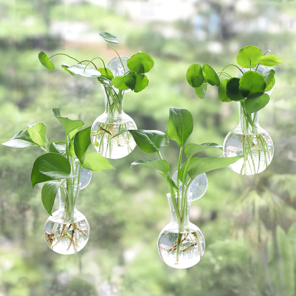 4 Pcs Easy-Install Window Plant Propagation Bulbs for Gardening