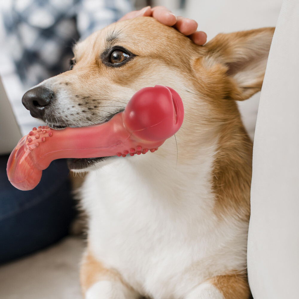 Dog Bone Toy Aggressive Chewers Extreme Tough Dog Toys Pet Chew Teething Toy US