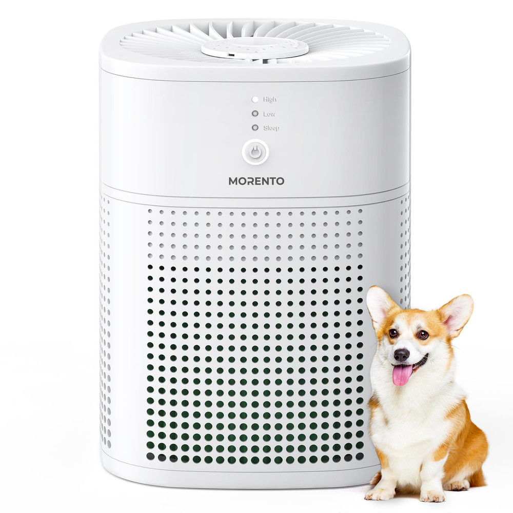 Air Purifiers for Bedroom, HEPA Filter for Smoke, Pet Dander with Fragrance S...
