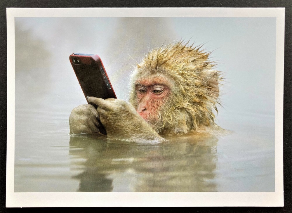*ONE* Monkey Texting Christmas Holiday Card7x5 Funny Photo Cell Phone New Year 1