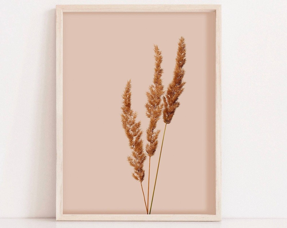 Minimal Terracotta Modern Wall Art Bush Grass Panicles Print Botanical Beachy