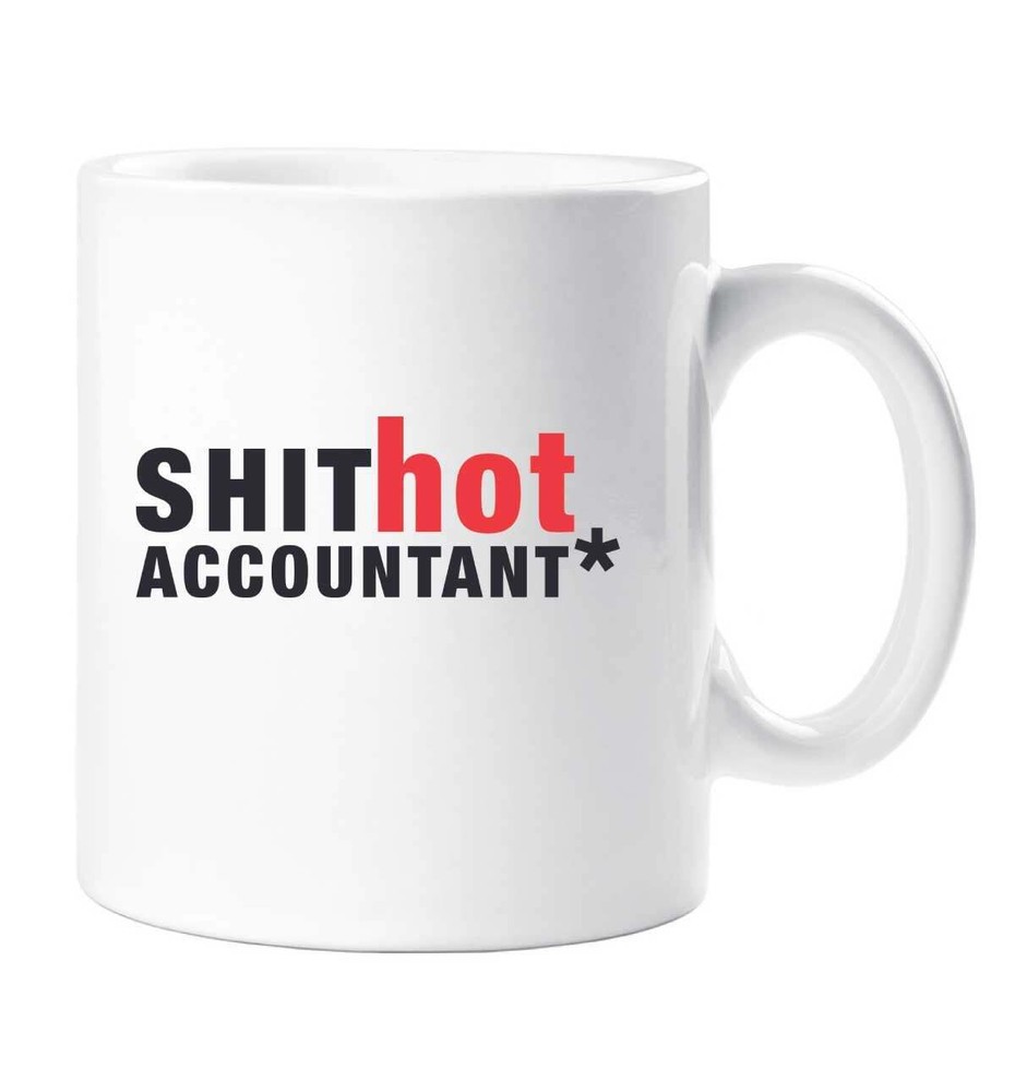 Hot Accountant Mug Gift for Number Crunchers and Tax Pros  