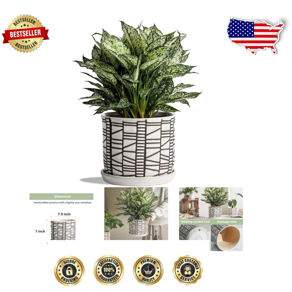 Sophisticated 8 Inch Indoor/Outdoor Plant Pot with Matching Saucer Tray
