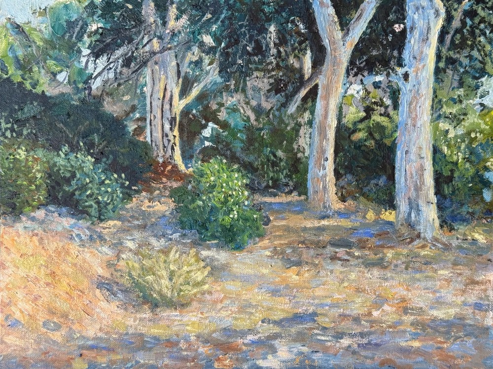 Original 12x16 Oil Painting Trees Landscape Impressionist Forest on Canvas
