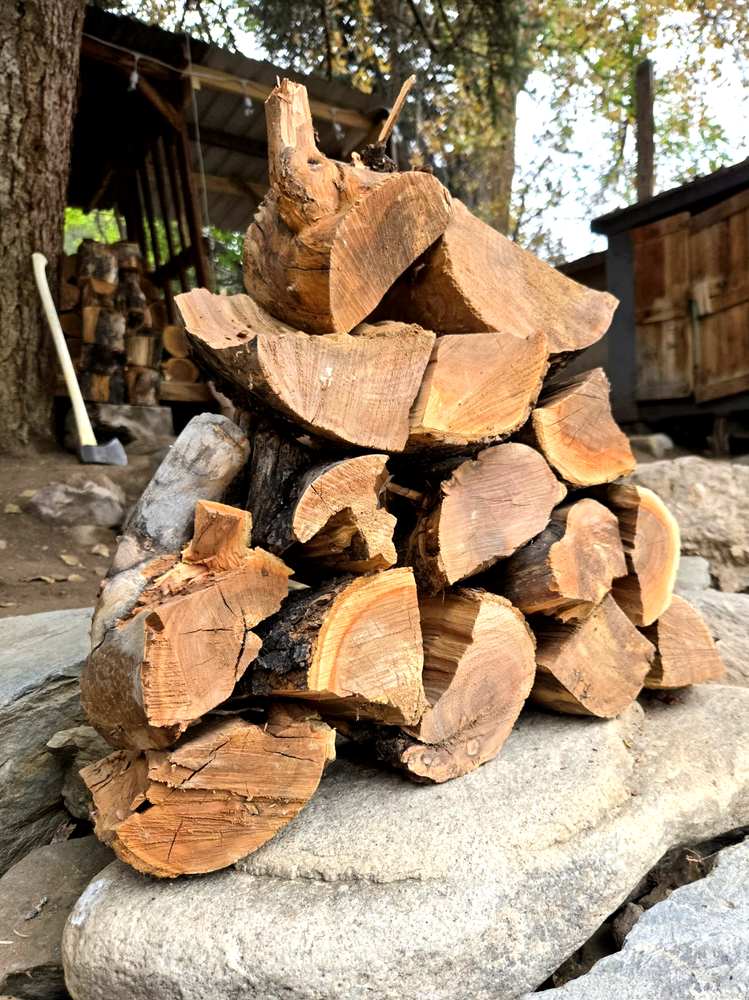 17+ LBS APPLE WOOD BIG CHUNKS For Smoking Organic Seasoned BBQ Grilling Cooking