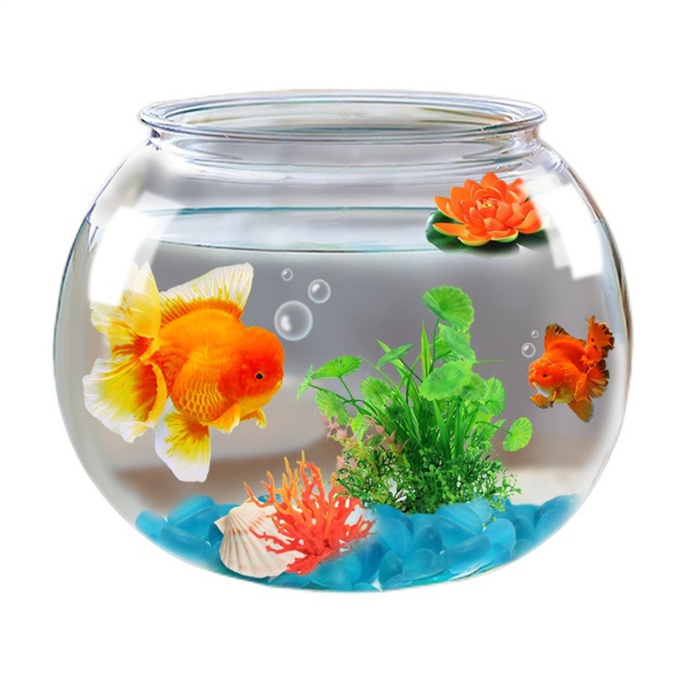 Fish Bowl Clear Shatter-Resistant Aquarium Accessories Aquarium Fish