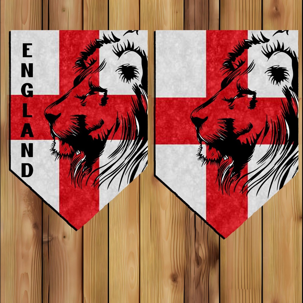 England Bunting St George Euro 2024 Football Sports Euro's Lion flag