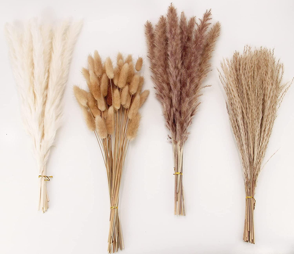 100 Stems Dried Pampas Grass Decor with Bunny Tails for Boho Home Styling