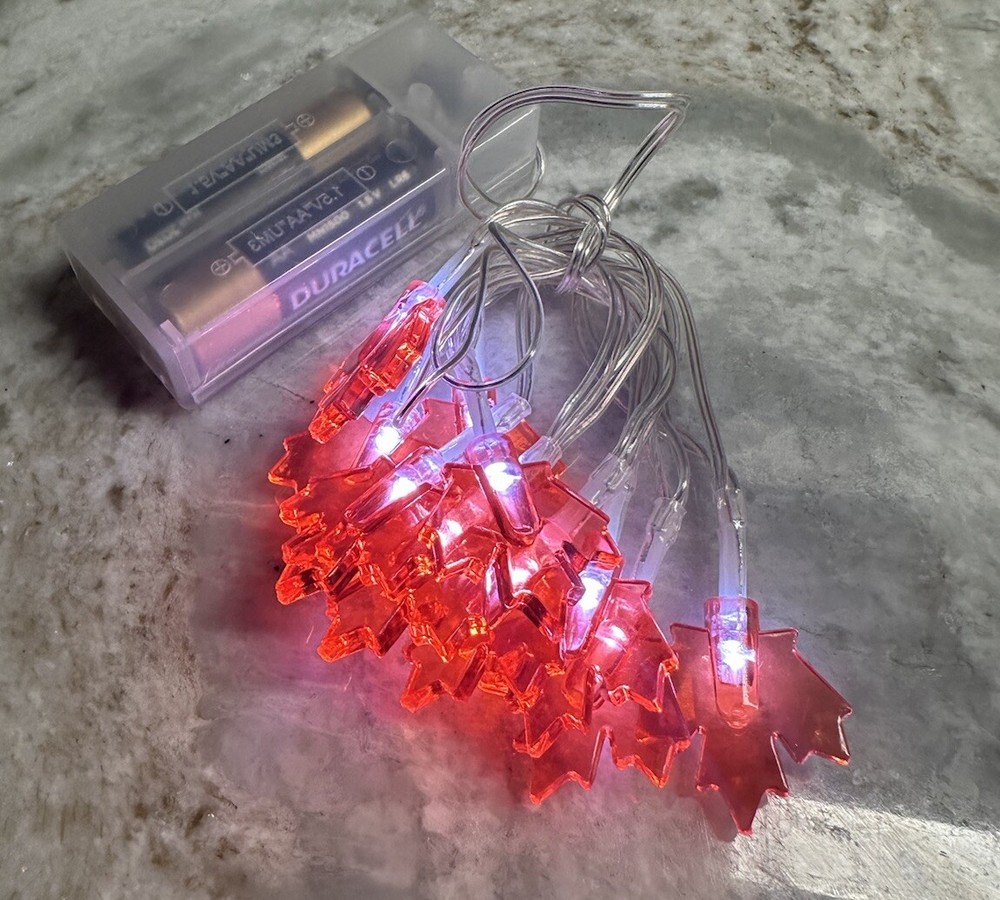 Seasonal Col 10 LED Lights For Indoor Total Length 3 Ft. Lighted 2ft Leaves Fall-image