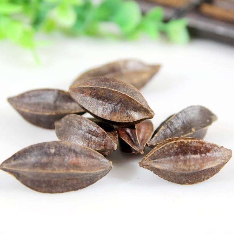 Органические травяные фрукты Quisqualis Rangooncreeper отличное качество