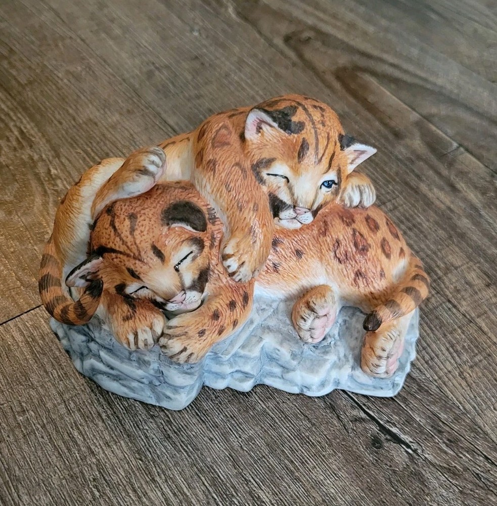 Lenox  Played Out    Nature Young    Beautiful Tiger Cubs