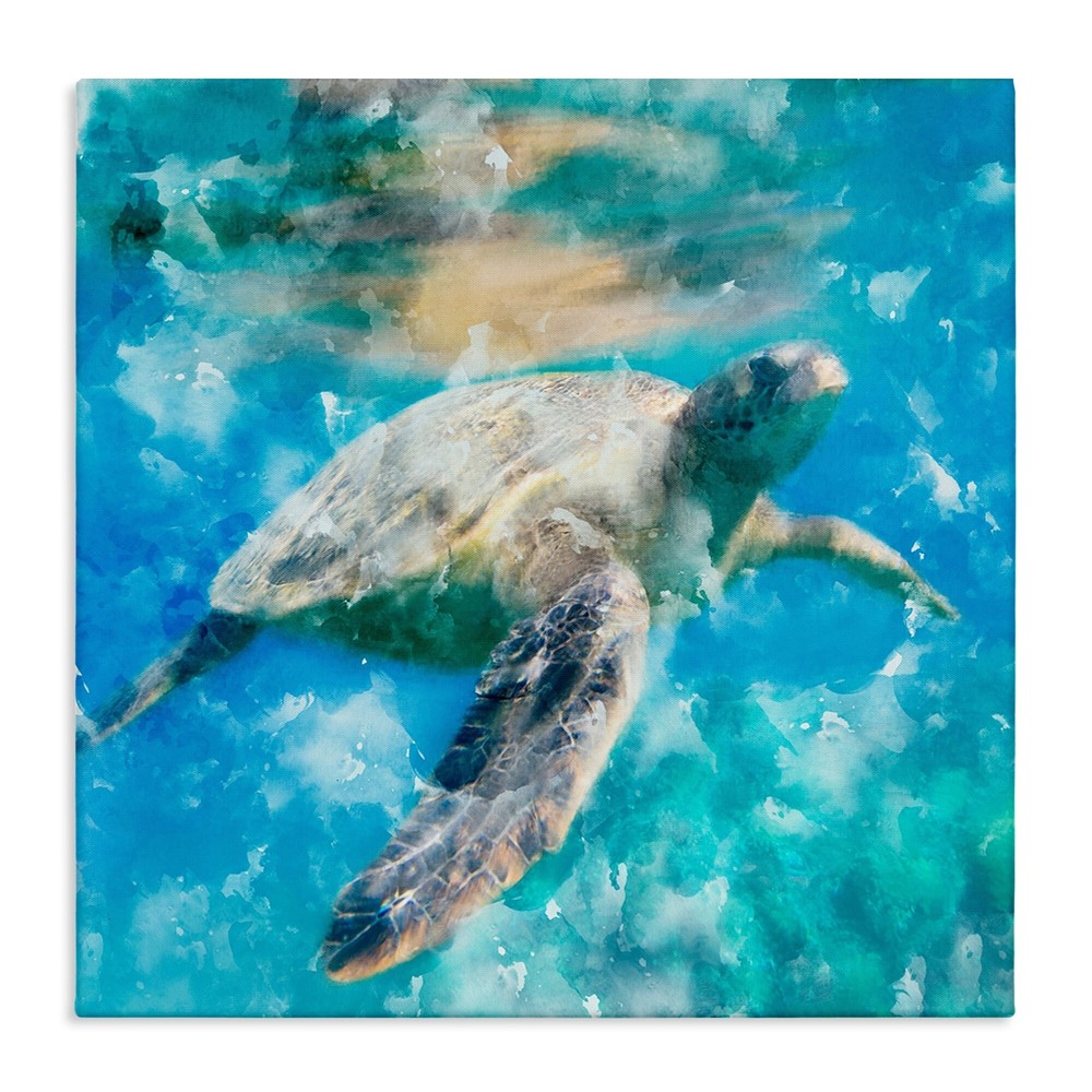 Stupell Swimming Sea Turtle Aquatic Reptile Design Canvas