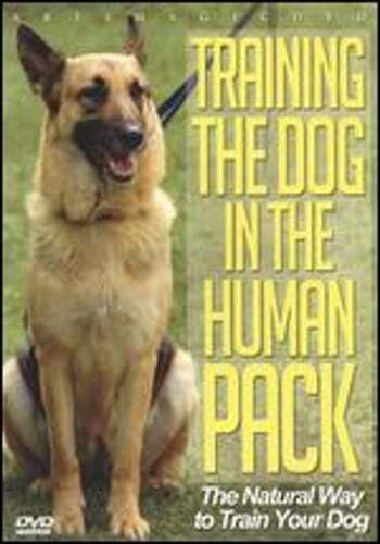 Master Dog Training with New Human Pack Techniques