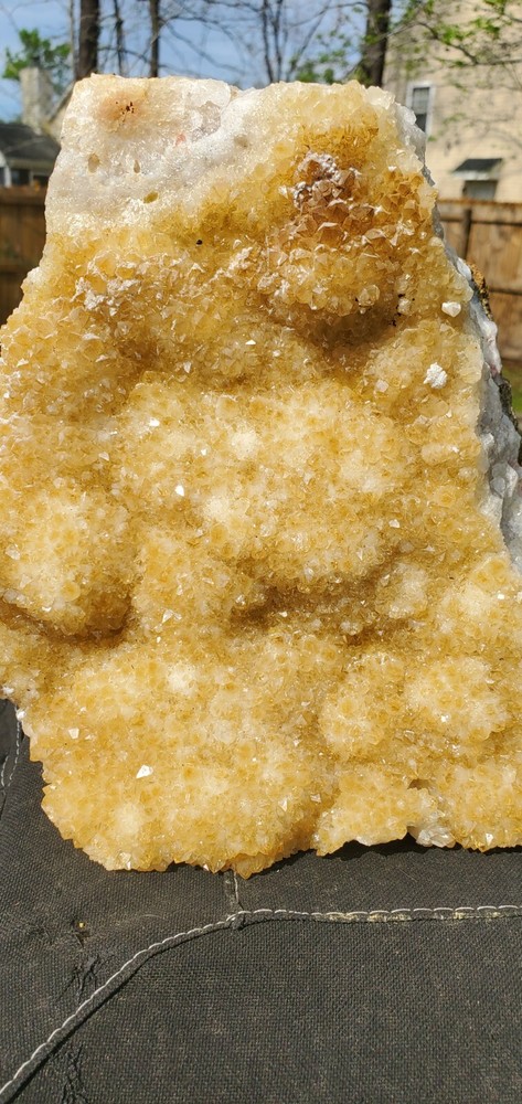 Lg Citrine Crystal Druze Cluster  Raw Druzy 4700g 9lb 8 1/4 ×8×4 1/5 Mineral