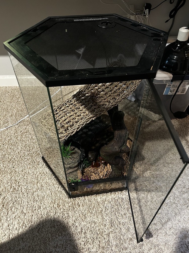 Hexagon Reptile Terrarium with Durable Glass Panels for Exotic Pets