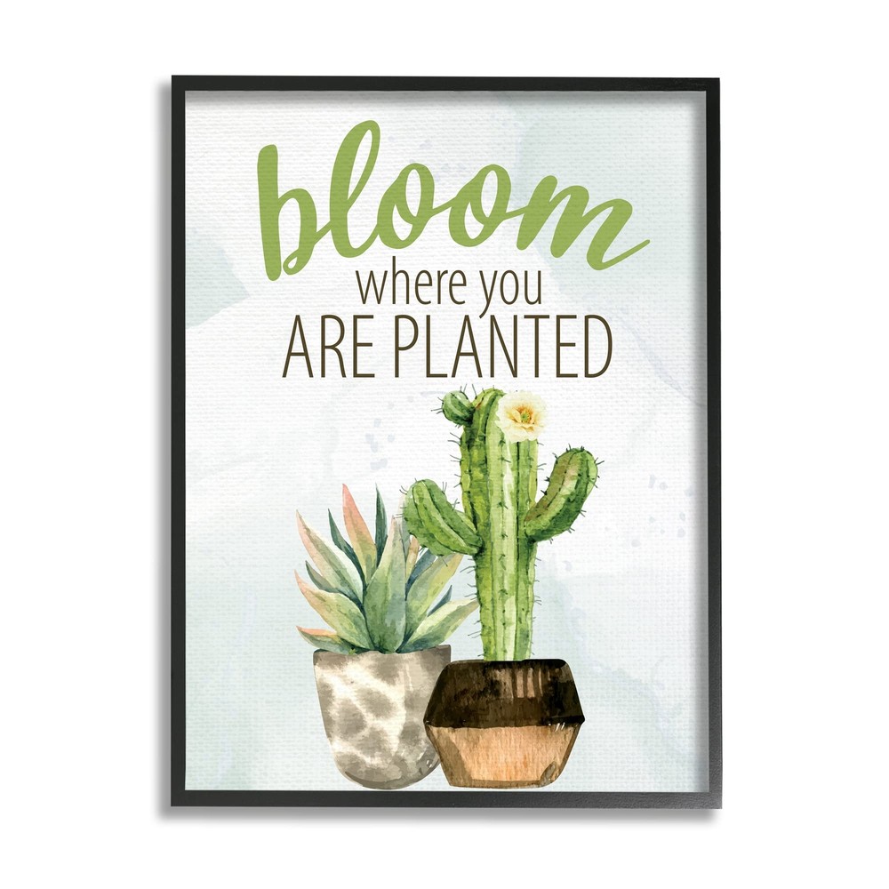 Bloom Where You Are Planted Cactus Succulent, Design by Kim Allen